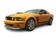 Sporivny Car Wall Decal