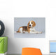 Puppy Beagle Dog Wall Decal