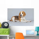 Puppy Beagle Dog Wall Decal