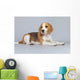 Puppy Beagle Dog Wall Decal