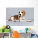 Puppy Beagle Dog Wall Decal