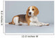 Puppy Beagle Dog Wall Decal