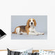 Adorable Puppy Beagle Dog Wall Decal