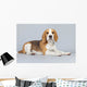 Adorable Puppy Beagle Dog Wall Decal
