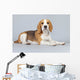 Adorable Puppy Beagle Dog Wall Decal