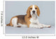 Adorable Puppy Beagle Dog Wall Decal