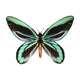 Queen Alexandra's Birdwing Wall Decal
