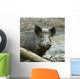 Wild Boar Sus Scrofa Wall Decal