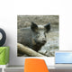 Wild Boar Sus Scrofa Wall Decal
