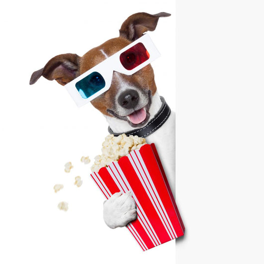 Cinema Movie Dog Wall Decal