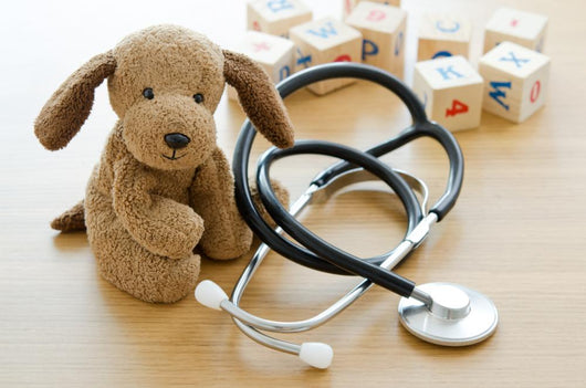Pediatrics Puppy Toy with Wall Decal