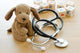 Pediatrics Puppy Toy with Wall Decal