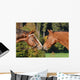 Quarter Horse Wall Decal