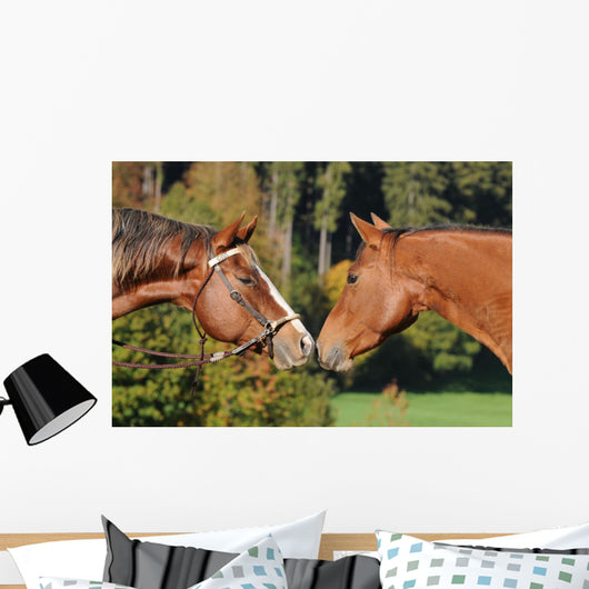 Quarter Horse Wall Decal