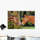 Quarter Horse Wall Decal