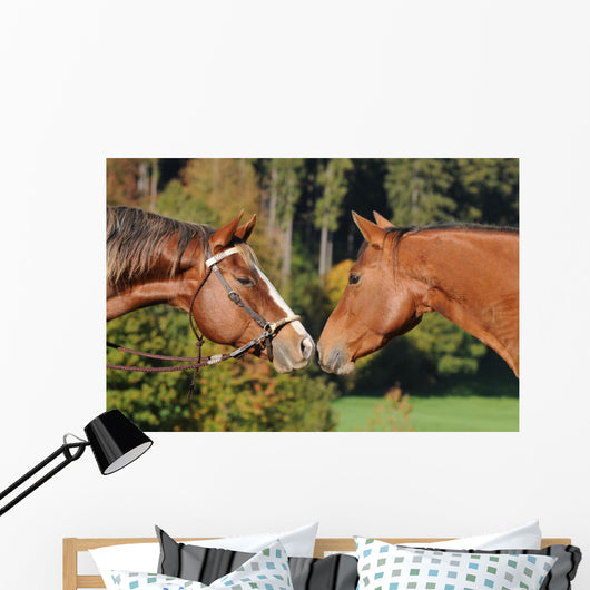 Quarter Horse Wall Decal