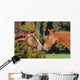 Quarter Horse Wall Decal