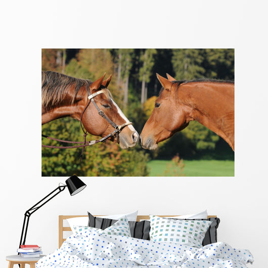 Quarter Horse Wall Decal