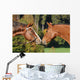 Quarter Horse Wall Decal