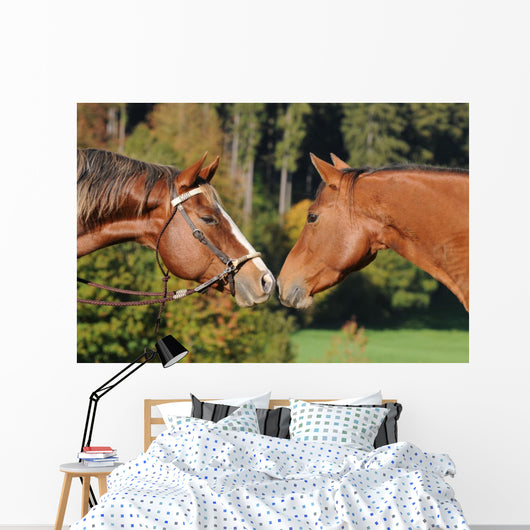Quarter Horse Wall Decal