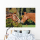 Quarter Horse Wall Decal
