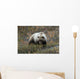 Denali Grizzly Bear Wall Decal