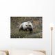 Denali Grizzly Bear Wall Decal