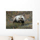 Denali Grizzly Bear Wall Decal