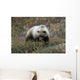 Denali Grizzly Bear Wall Decal