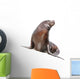 Sea Lion Wall Decal