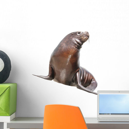 Sea Lion Wall Decal