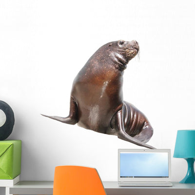 Sea Lion Wall Decal shown on a wall