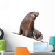 Sea Lion Wall Decal