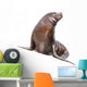 Sea Lion Wall Decal