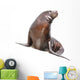 Sea Lion Wall Decal