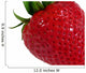 Close-up Strawberry Wall Decal