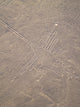 Nazca Lines Peruvian Desert Wall Decal