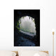 Nacientes Marcos Y Cordero Wall Decal