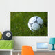 Soccer Wall Decal