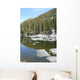 Dream Lake Rocky Mountain Wall Decal