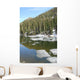 Dream Lake Rocky Mountain Wall Decal