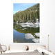 Dream Lake Rocky Mountain Wall Decal