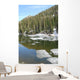 Dream Lake Rocky Mountain Wall Decal