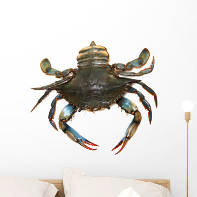 Blue Crab Wall Decal shown on a wall