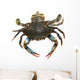 Blue Crab Wall Decal