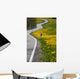 Yellow Flowers Roadside Wall Decal