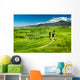 Beautiful Path between Fields Wall Decal