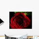 Front Red Rose Wall Decal