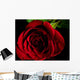 Front Red Rose Wall Decal