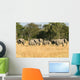 Herd Elephants Moremi Nature Wall Decal